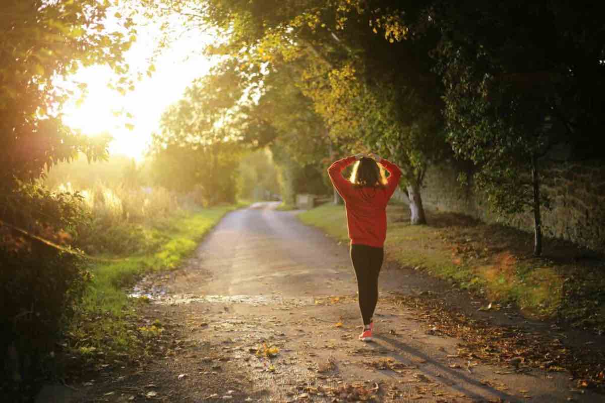 Active recovery run in a forest during golden hour