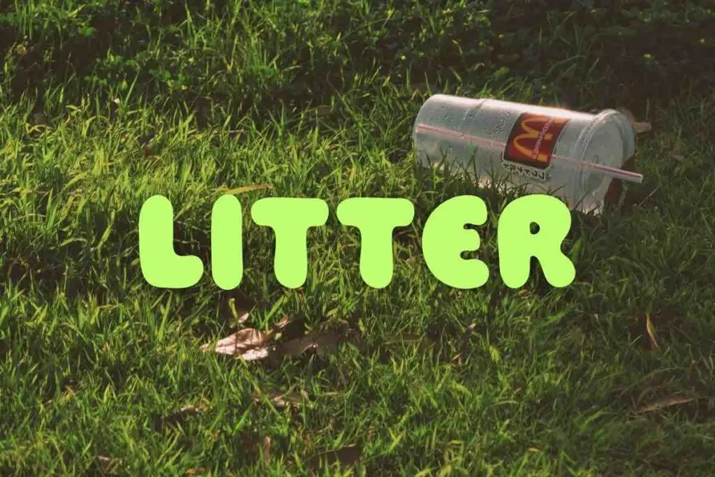 Litter picking on a run