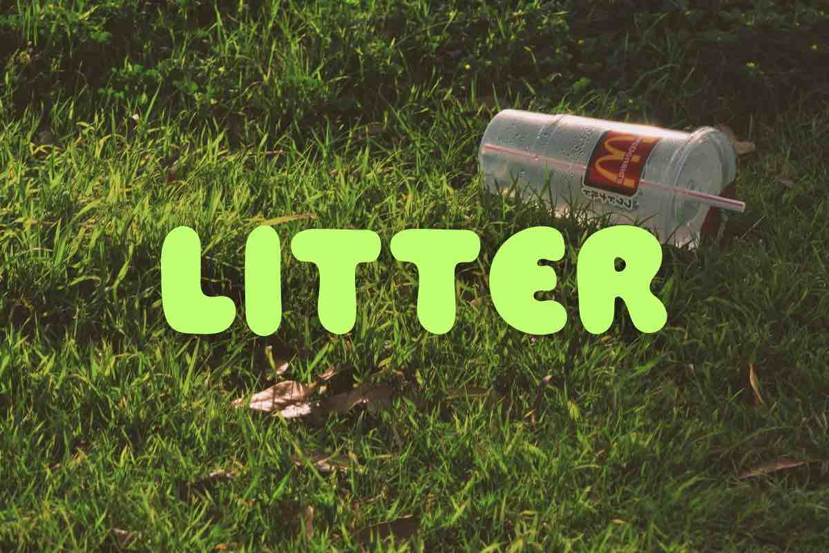 Litter picking on a run
