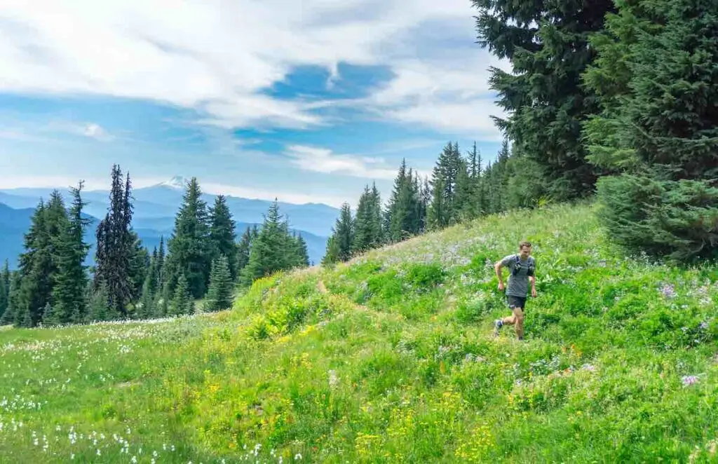 Solo runner in a lush green meadow