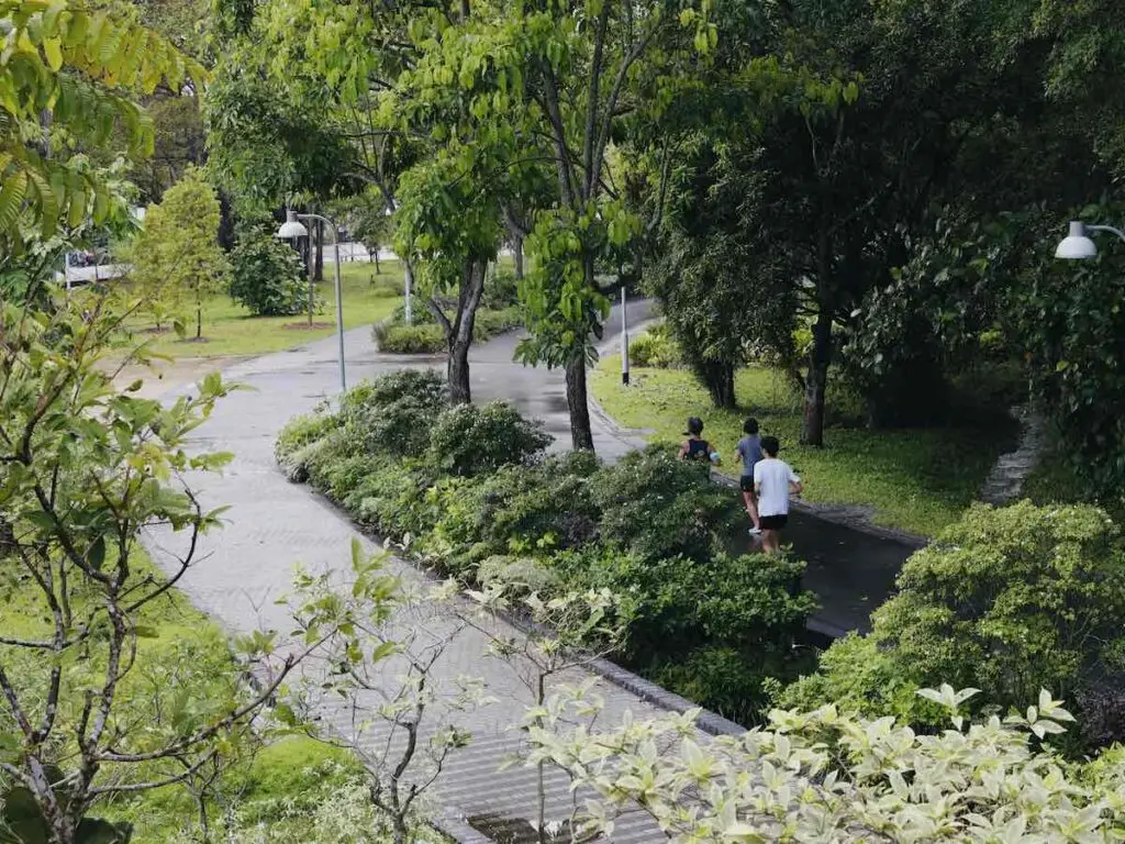 Three runners running through a city centre park