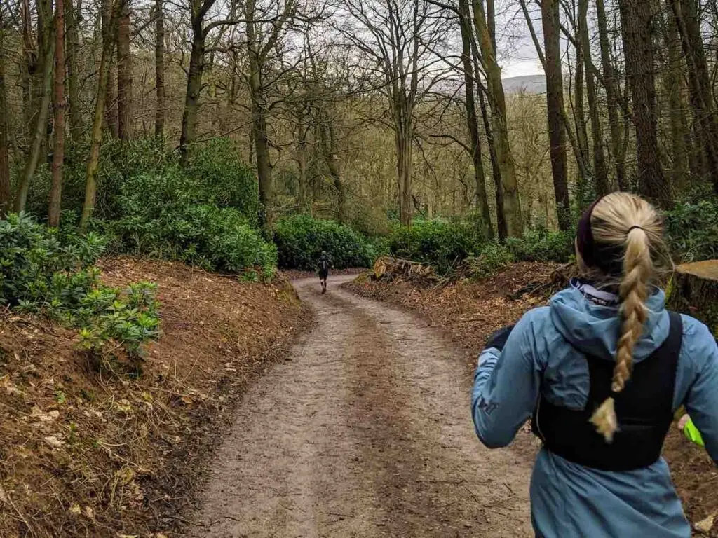Trail runners through woodland